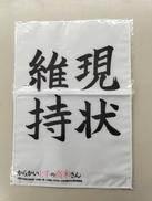 【未開封】A4マイクロファイバータオル|東宝