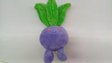 ポケットモンスター|ポケモン