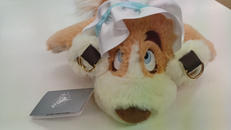 ピーター・パン|ディズニー