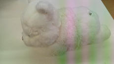 くまのプーさん|DISNEY