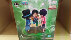 ワンピース|バンダイ