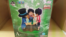 ワンピース|バンダイ