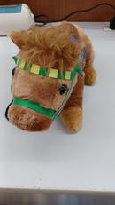 スーパーサラブレッド|A&M