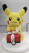 ポケモン|ポケモンセンター