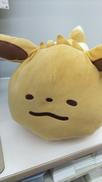 ゆるっとカナヘイ|ポケモンセンター