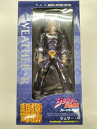 ジョジョの奇妙な冒険|メディコス