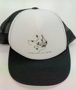 ポケモン|ポケモン