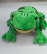 ジョジョの奇妙な冒険|エンスカイ