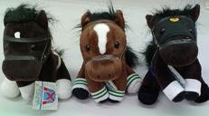 アイドルホース|中央競馬