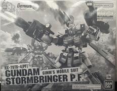 ガンダムストームブリンガー P.F.|BANDAI