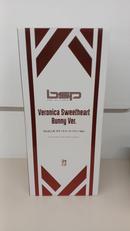 バニースーツプランニング|フリーイング