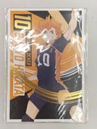 ハイキュー 合同練習会2022|ベネリック