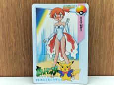 ポケットモンスター