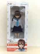 しかのこのこのここしたんたん|AZONE International