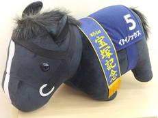 サラブレッドコレクション|DMM