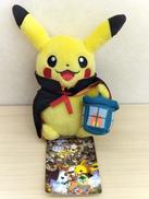 ポケモン|ポケモン