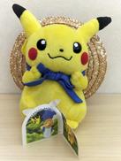 ポケモン|ポケモン