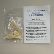 プラモデル|んどぱら屋