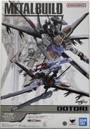 METAL BUILD オオトリ