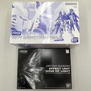 RGデスティニーガンダム［チタニウムフィニッシュ］セット|BANDAI