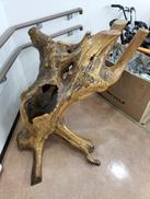 存在感抜群！！|不明