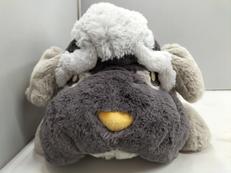 ポケモン|ポケモン