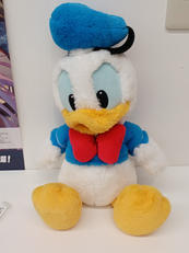 ドナルド|ディズニー