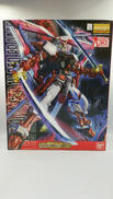 MG/機動戦士ガンダムSEED VS ASTRAY|BANDAI
