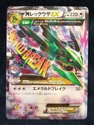 ポケモンカードゲーム|株式会社ポケモン