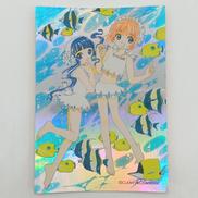 カードキャプターさくら さくら＆知世|バンダイ