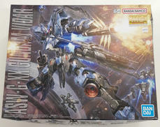1/100 MG ガンダムヴィダール|BANDAI