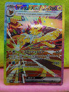 サンダースEX|ポケモン