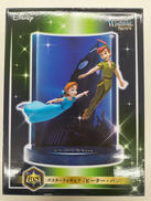 DISNEY WISHING STARS|サニーサイドアップ