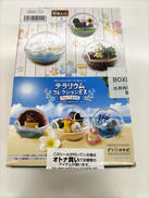 ポケットモンスター サン＆ムーン|リーメント