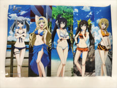 IS<インフィニット・ストラトス>|ブシロード