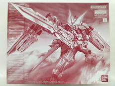 機動戦士ガンダムSEED DESTINY ASTRAY R|バンダイ