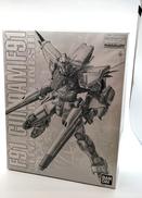 1/100 MG ガンプラ|BANDAI