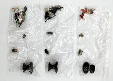 デモンズ・クロニクルXI 魔女の鉄槌|やおまん