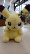 ポケットモンスター|ポケモン