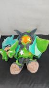 ポケモン|ポケモン