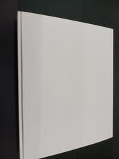 BLEACH原画展カラー描き下ろしイラスト 集合絵 オリジナ|集英社