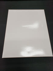 青春ブタ野郎はサンタクロースの夢をみない キャラファイングラ|アニプレックス