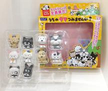 うちのタマつみませんか?|シャイン