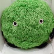 スーモ|タイトー