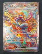 ゲッコウガEX SAR|ポケモン