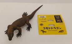 コモドドラゴン|海洋堂
