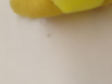imgMap['COMMENT']}