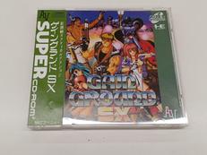 ゲイングランドSX|NECアベニュー