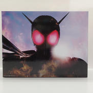 ダブルドライバーボックス|BANDAI