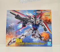 MG 1/100 B賞